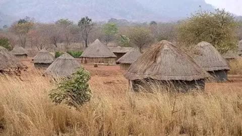 The Difference Between Africa 🌍 and European 🏤