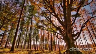 The Rebirth of Charles Hamilton - Black Breakdown (VIDEO)