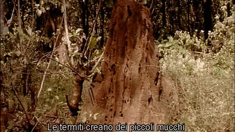 Ayurveda, arte di vivere arte di guarire, di Pal Nalin