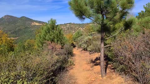 Hiking Cuyamaca 6 - Pine Ridge