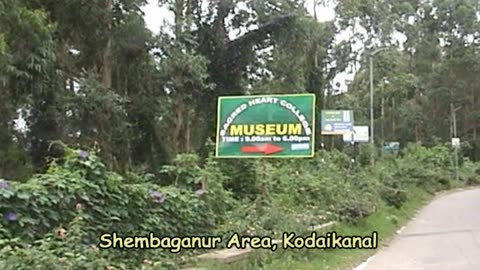 Panoramic Shembaganur View, Kodaikanal | Lush Valleys & Endless Skies