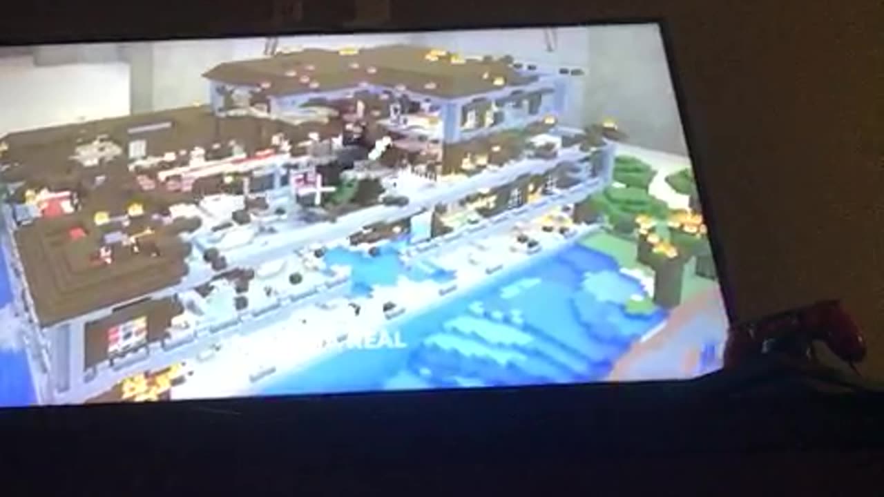 Minecraft video part eight