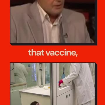 Doctor discusses a study that was performed on animals using the Hepatitis B vaccine.