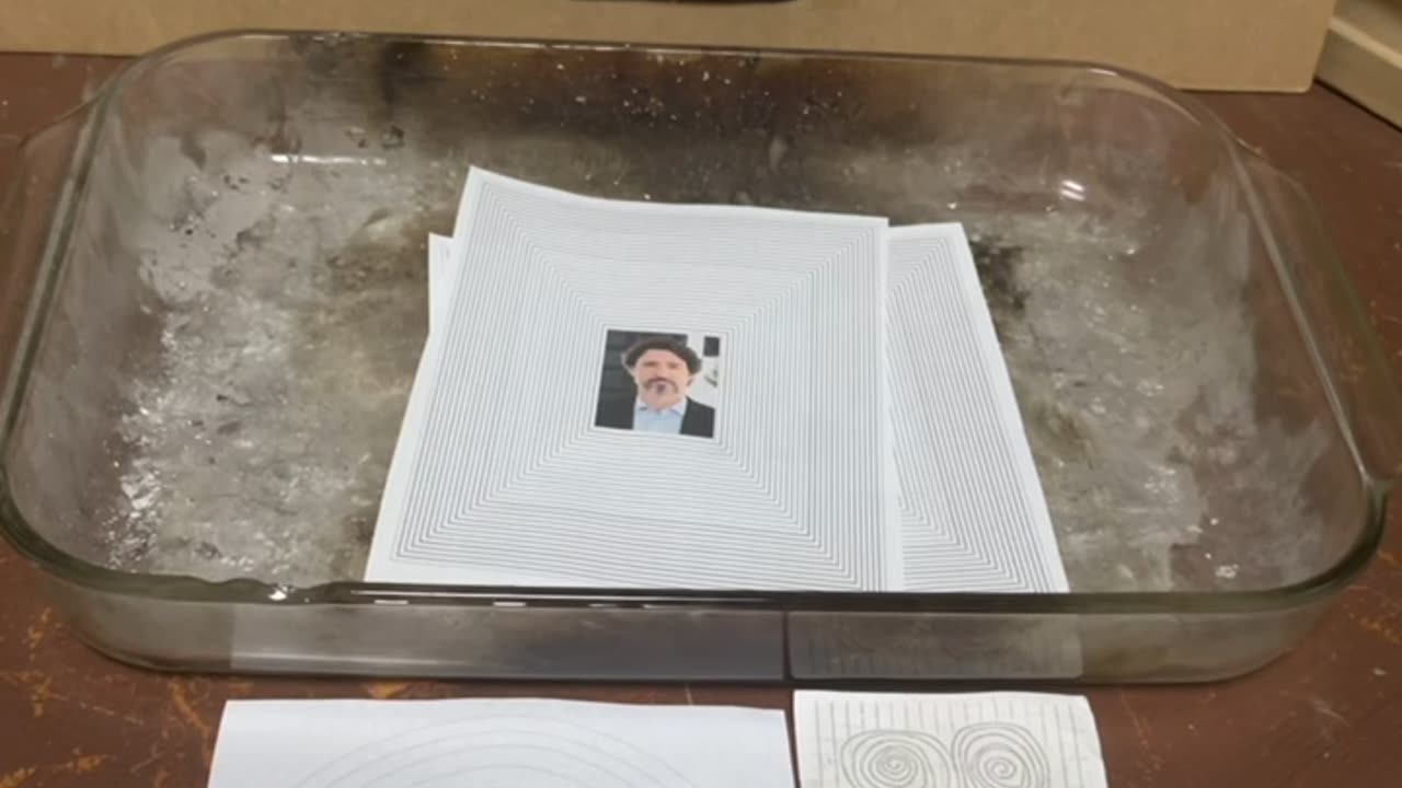 Tim Rifat TikTok Videos