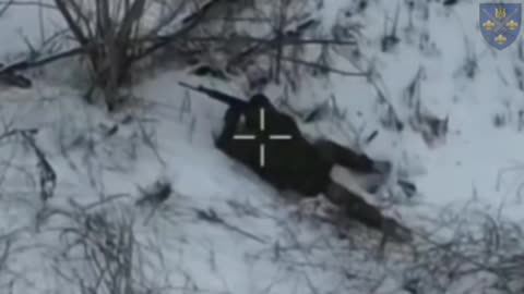 Russian Soldier Has an Abrupt Change in Mind?(Im Grasping at Straws)