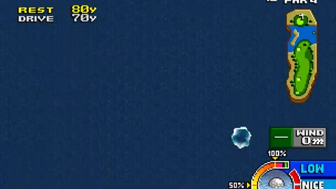 Neo Turf Developers 2