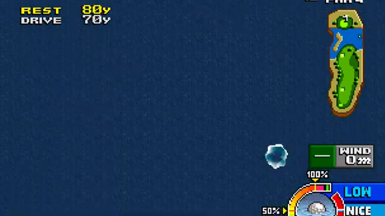 Neo Turf Developers 2