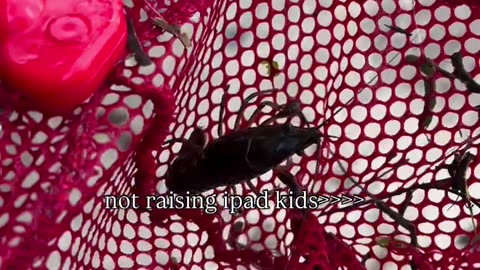 NOT RAISING IPAD KIDS!!!!!!