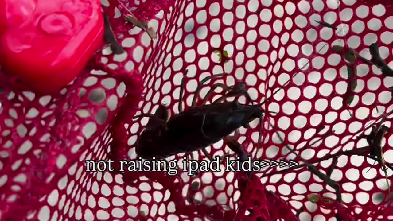 NOT RAISING IPAD KIDS!!!!!!