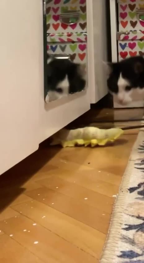 Not enough play time 😝