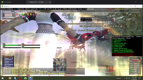 Playing Final Fantasy XI Online