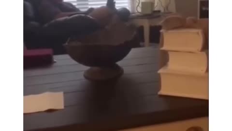 Deaf OBGYNO
