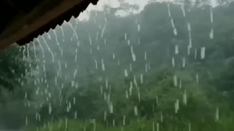 "Heavy Rain Sounds | Deep Relaxation, Sleep & Focus | No Thunder, No Music"