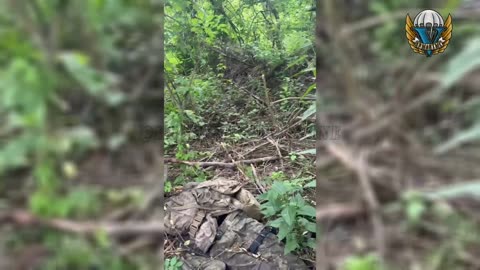 Ukraine war combat footage 8/6/25