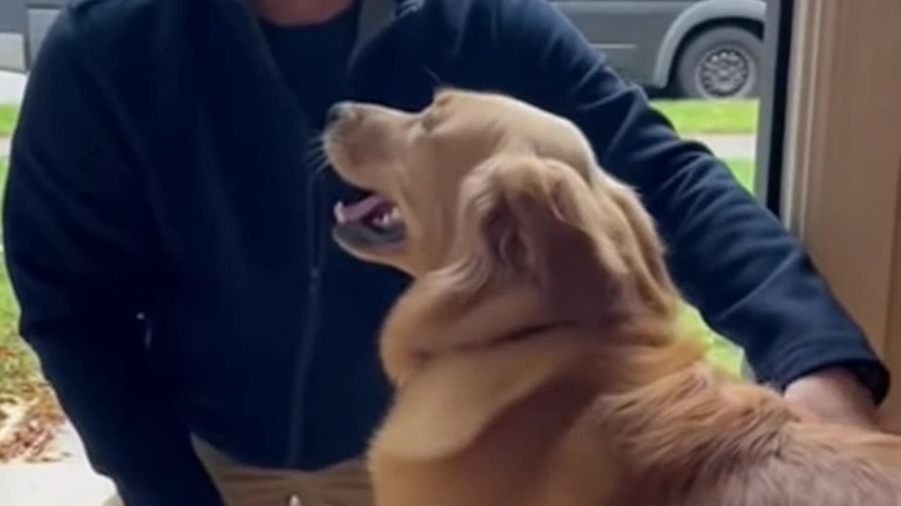 When the Delivery Driver Finally Arrives 😂🐶