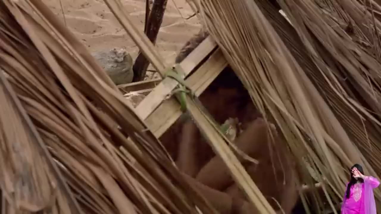A boy and girl got stuck In an island | Blue lagoon Movie explained in hindi.