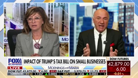 'TOTALLY UNFAIR': Kevin O'Leary warns of 'huge problem' with Trump's tax bill