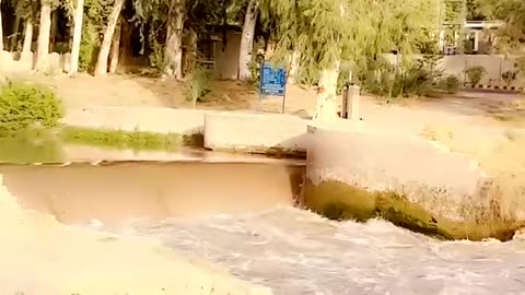 Be careful when bathing in the canal. 😁
