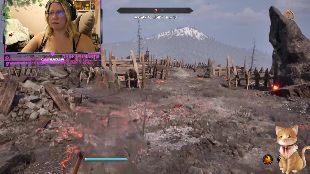 Chicken Live Stream