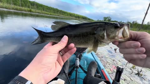 Bass fishing in high winds it was a great day