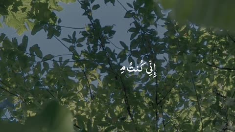 🔥Surah Al-Anbiya 21:87💔 سورة الأنبياء 🌌🛐 #quran #shorts #viral #love #youtubeshorts #trending #short