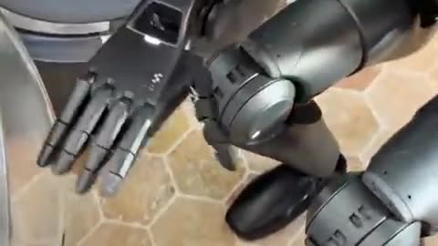 The Figure-02 humanoid robot