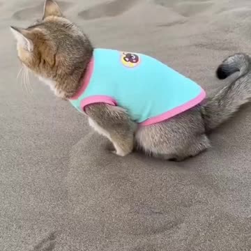 What a good girl buried all 😇