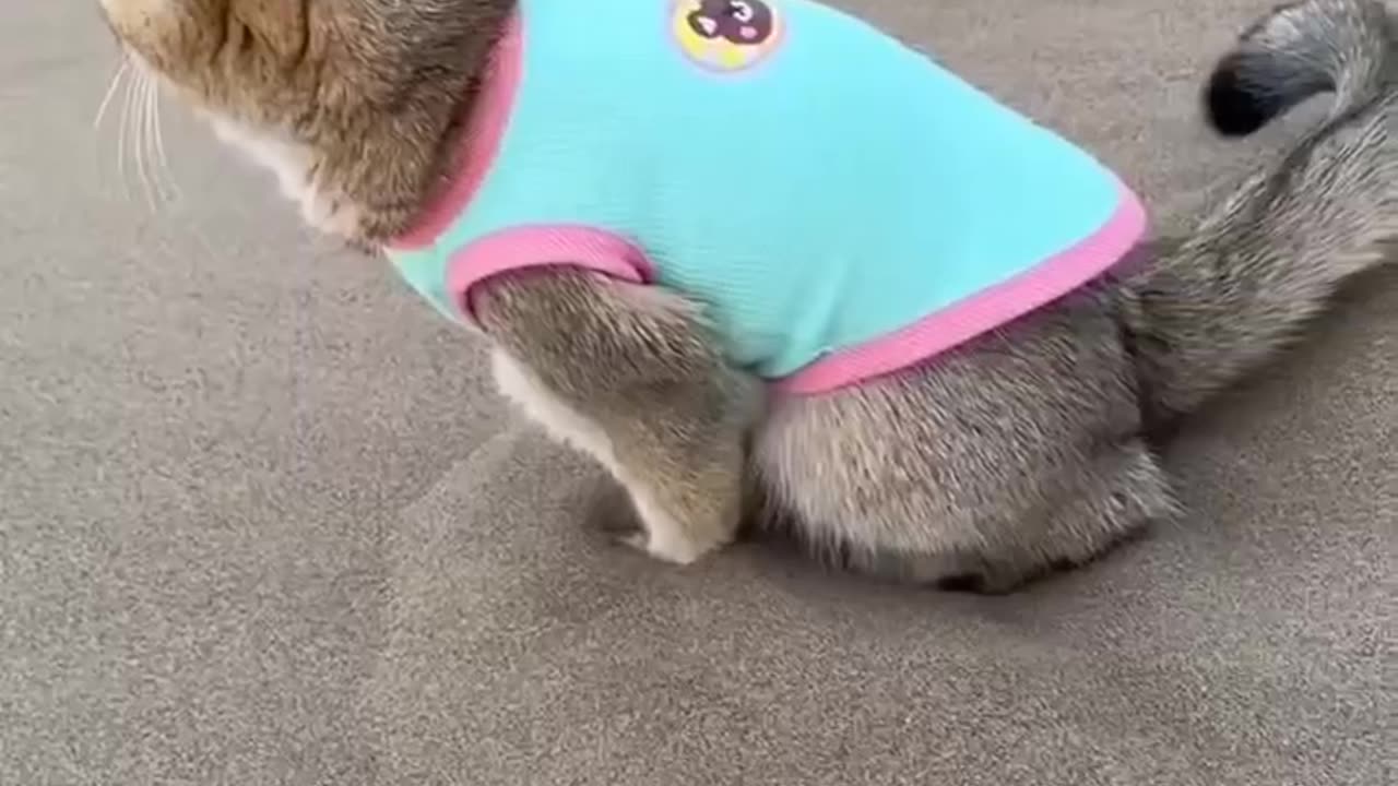 What a good girl buried all 😇