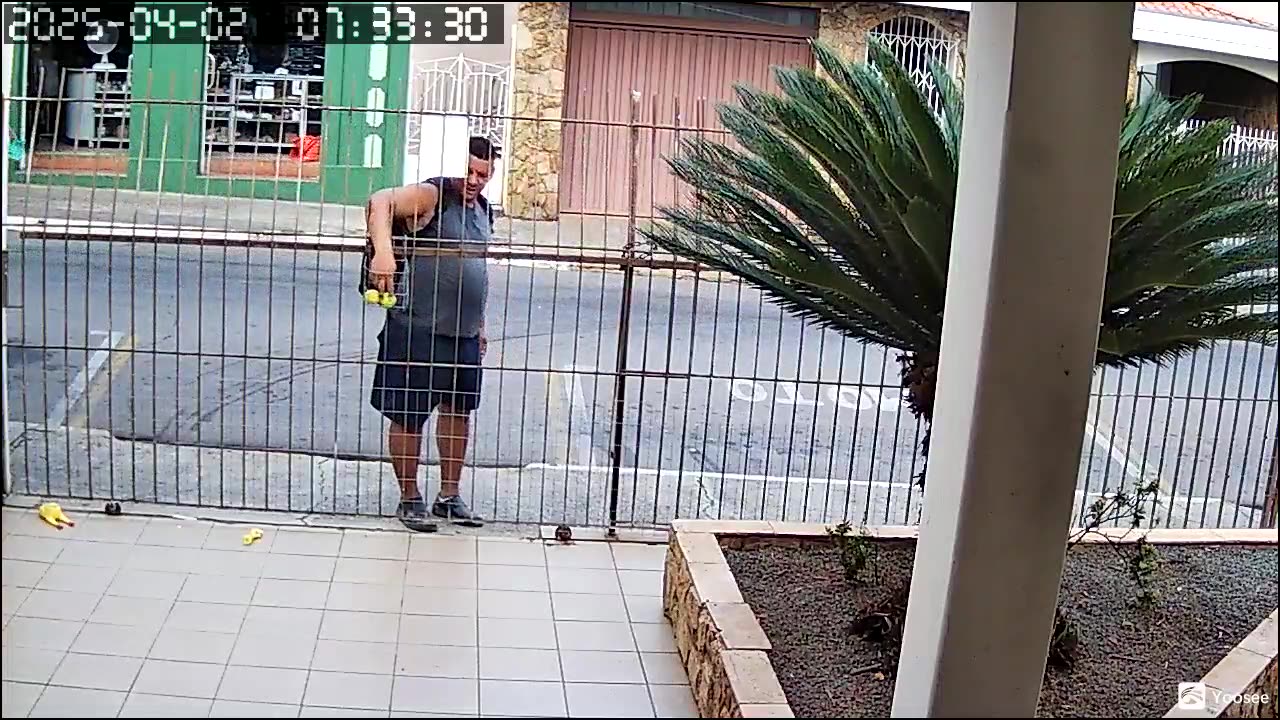 Passerby Plays Fetch With Dog