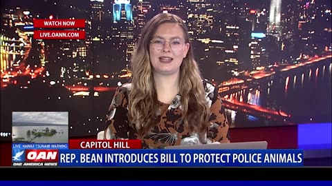 Rep. Bean Honors Fallen Police Dogs With Bill