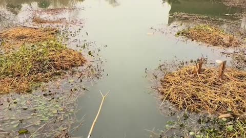 Easy fishing
