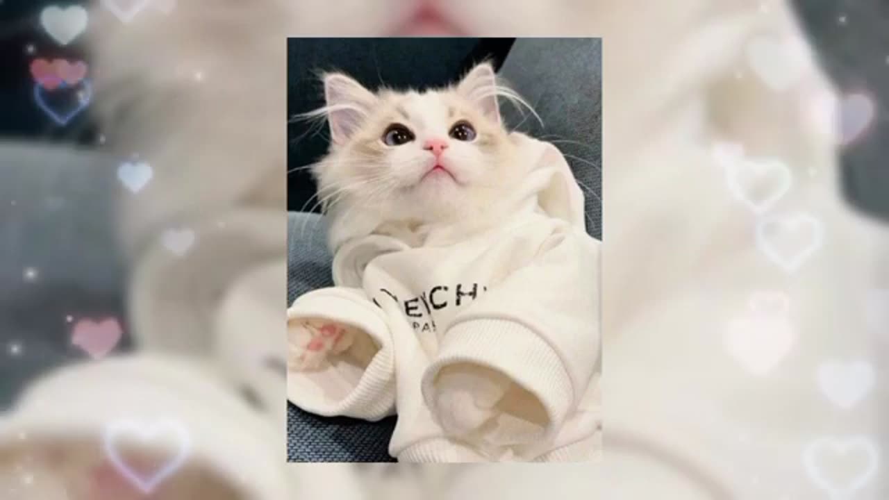 Музыка для настроения