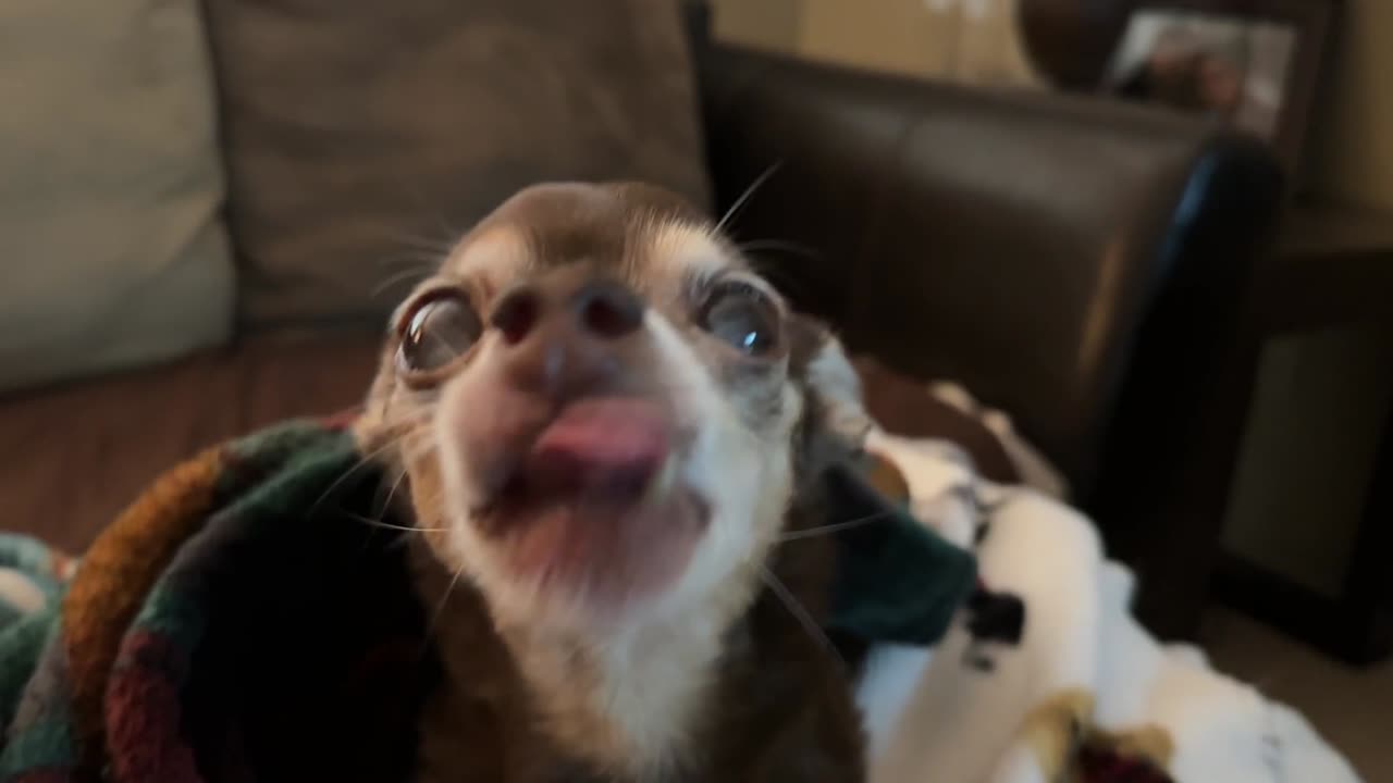 Daisy is 16 and loves it when I sing Benny Mardonez to her. (Not really)