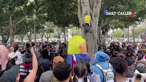 In Los Angeles, children were given sticks to beat a piñata effigy of Trump at the
