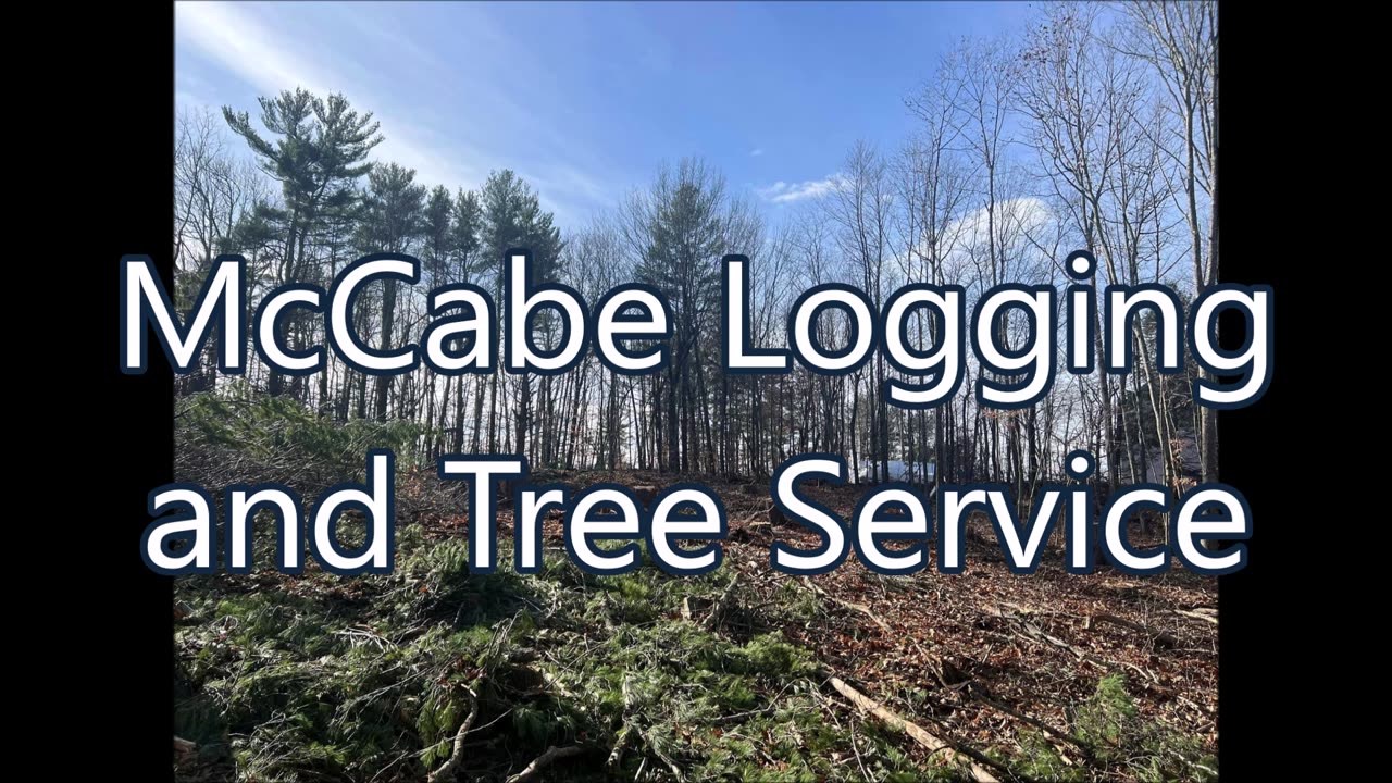 McCabe Logging and Tree Service