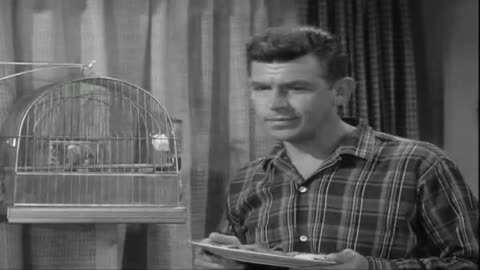 LIBERTY EXPRESS RETRO ANTENNA TV-2 📺
