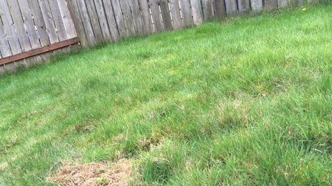exploring the new backyard!