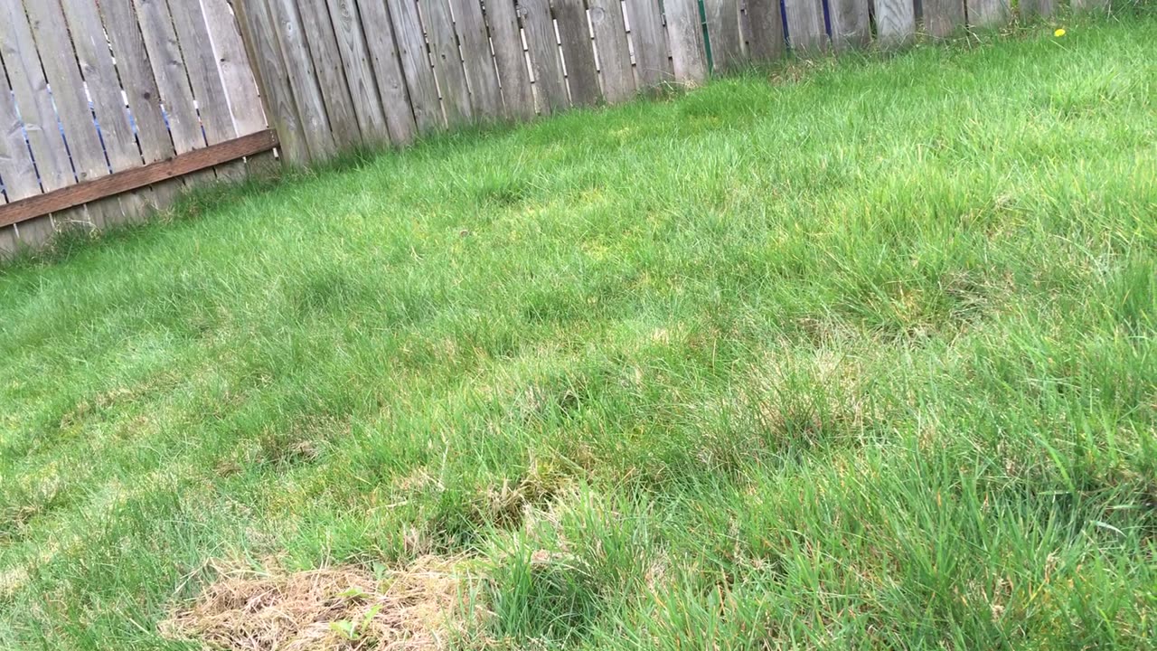 exploring the new backyard!