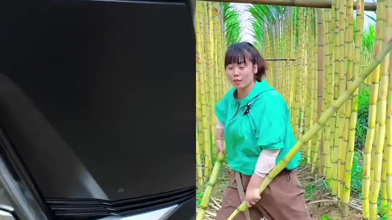 TEA