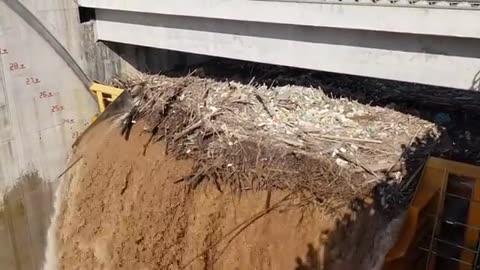 IRL - Radial gate with flap clearing debris