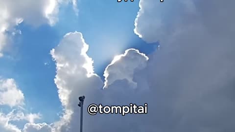 Главная ошибка умных людей ⁨@tompitai⁩