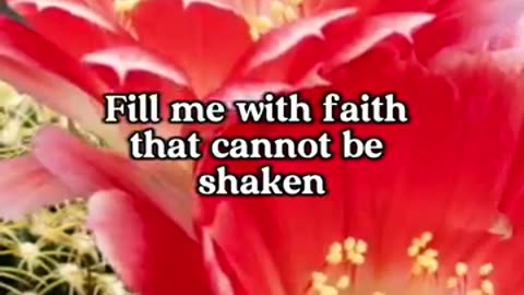 Morning prayer