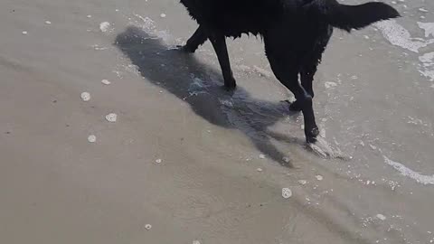 Gemma Beach walk