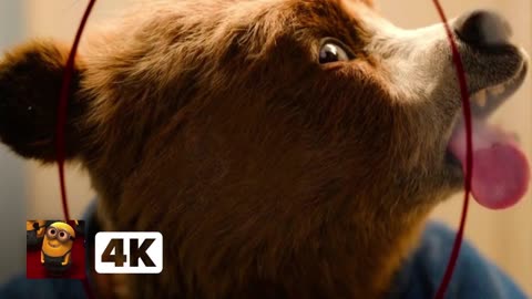 Paddington in Peru (2024) 4K - Hilarious Photo Booth Mishap Scene _ Movieclips