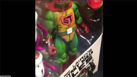 Discover the Super Turtle Collectible You Had No Idea About! (Sidescrollers Plus)