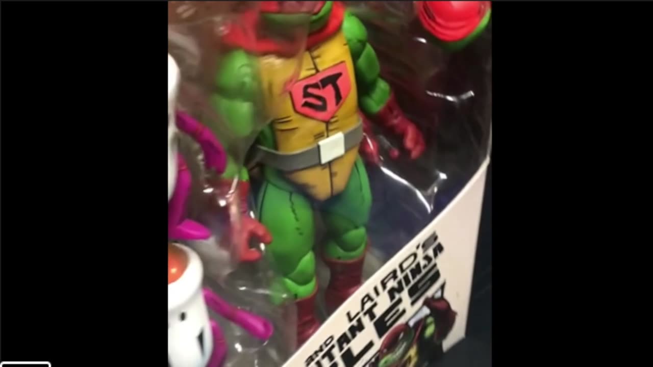 Discover the Super Turtle Collectible You Had No Idea About!