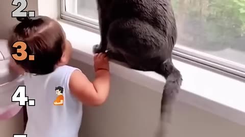 😹 Cats That Talk Back! Funniest Meows & Reactions Ever