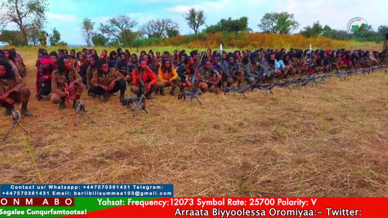 Gabaasa Tarkaanfii ONM-ABO Adoolessa 27-2025 itti dhiyaadhaa!