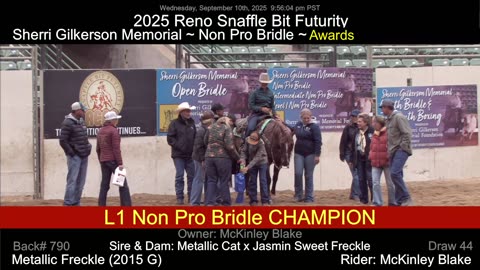 R2025 Reno Snaffle Bit Futurity ~ Wednesday Afternoon