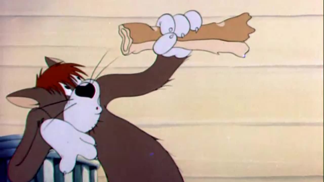 Tom And Jerry - 009 - Sufferin_ Cats (1943).avi